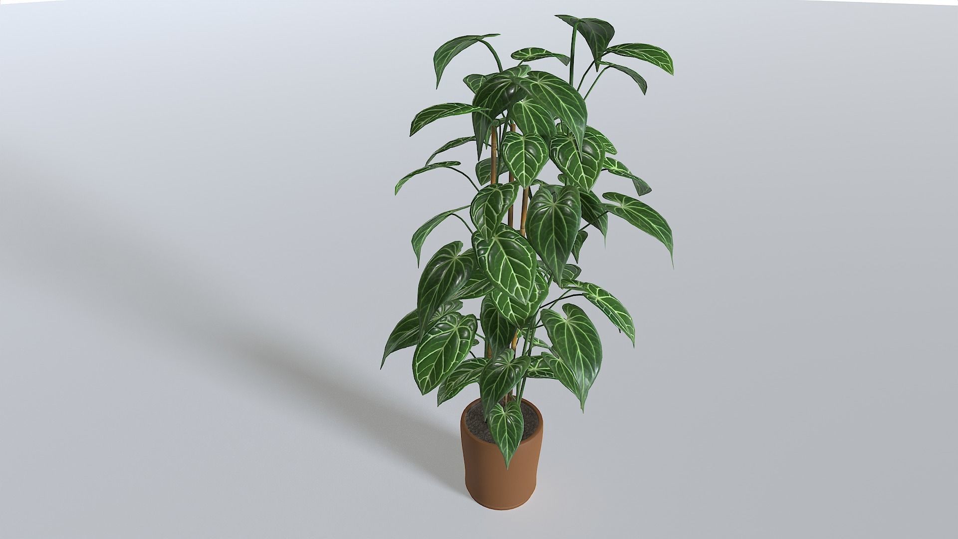 Pot Tropical Plant 1 Low-poly 3D model_3