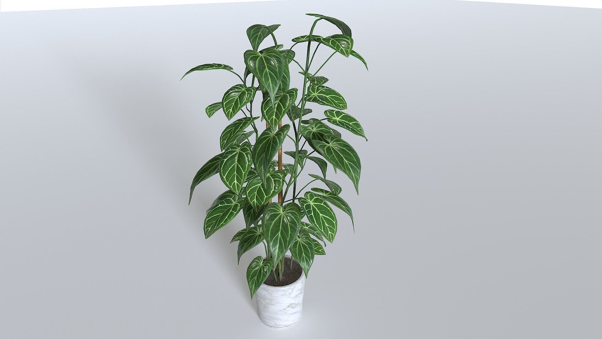 Pot Tropical Plant 1 Low-poly 3D model_6