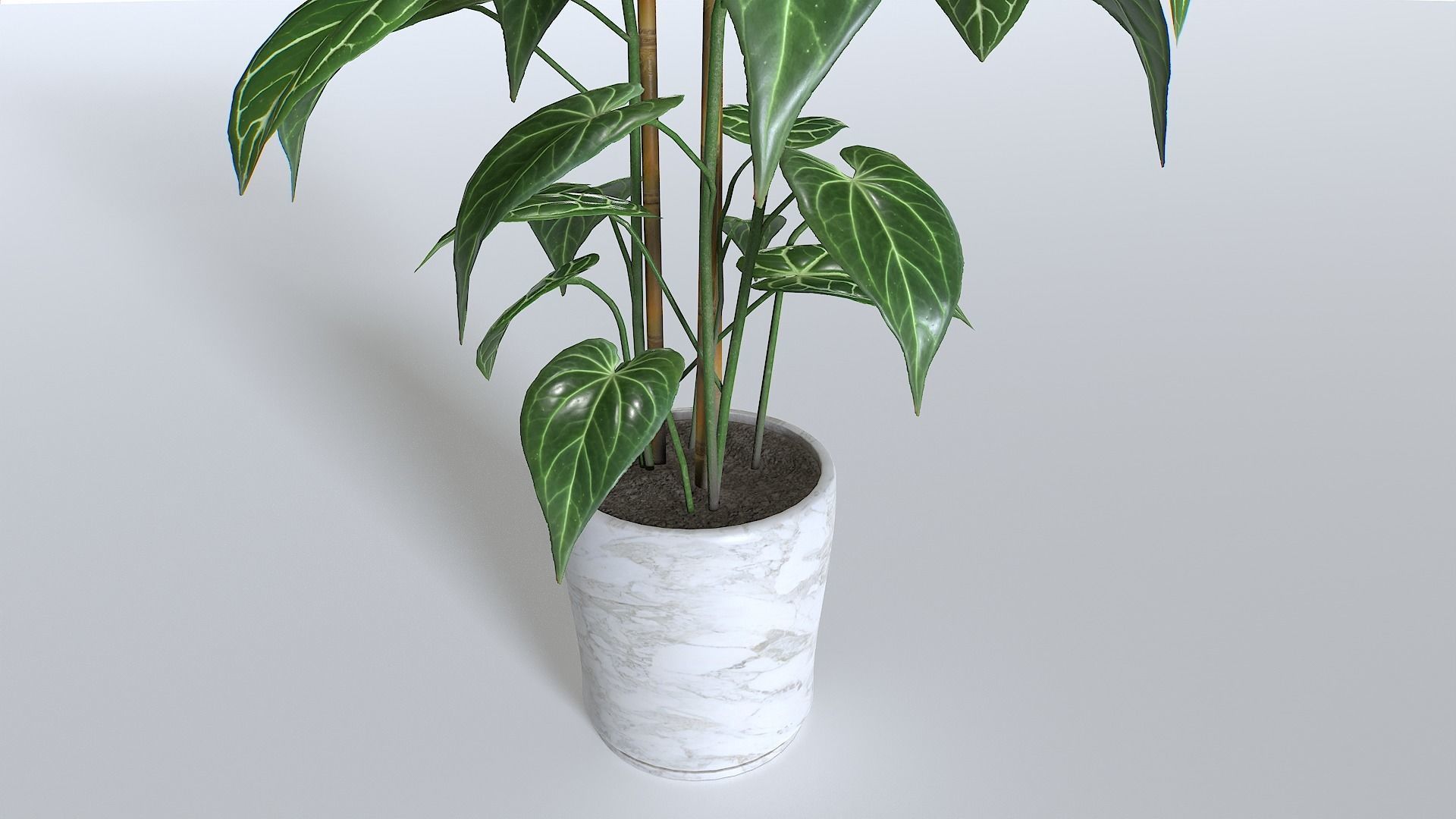 Pot Tropical Plant 1 Low-poly 3D model_10