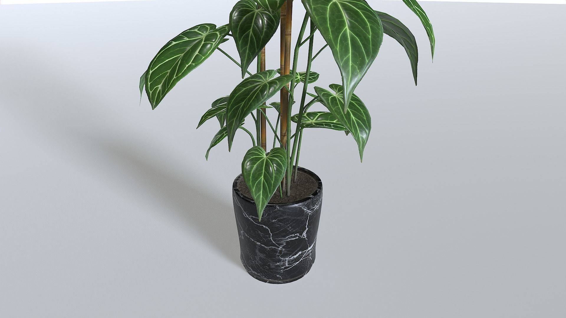 Pot Tropical Plant 1 Low-poly 3D model_5