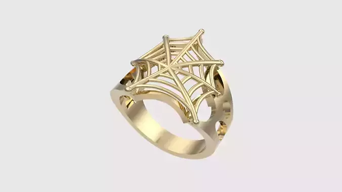 Intricate Spiderweb Ring JDBCo 3D print model