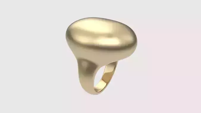 Signet Training Ring JDBCo 3D print model
