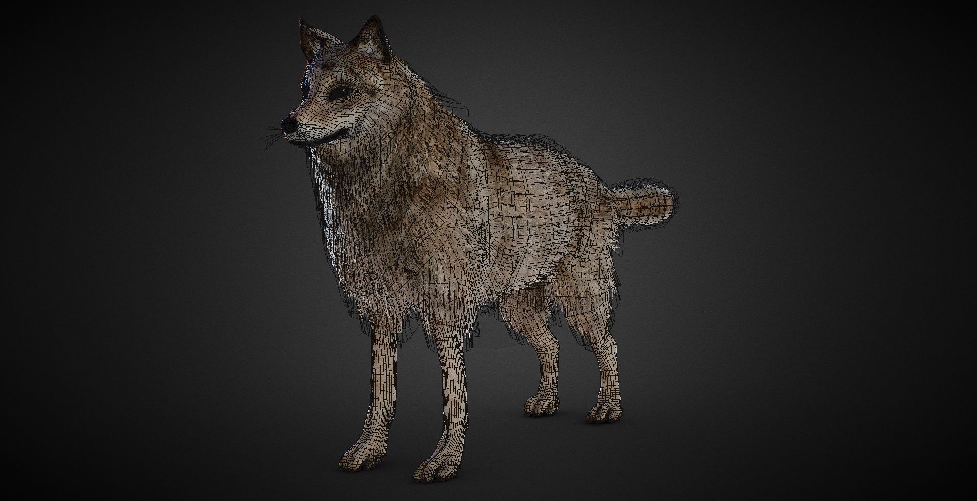 realistic Wolf PBR Lowpoly Low-poly 3D model_1