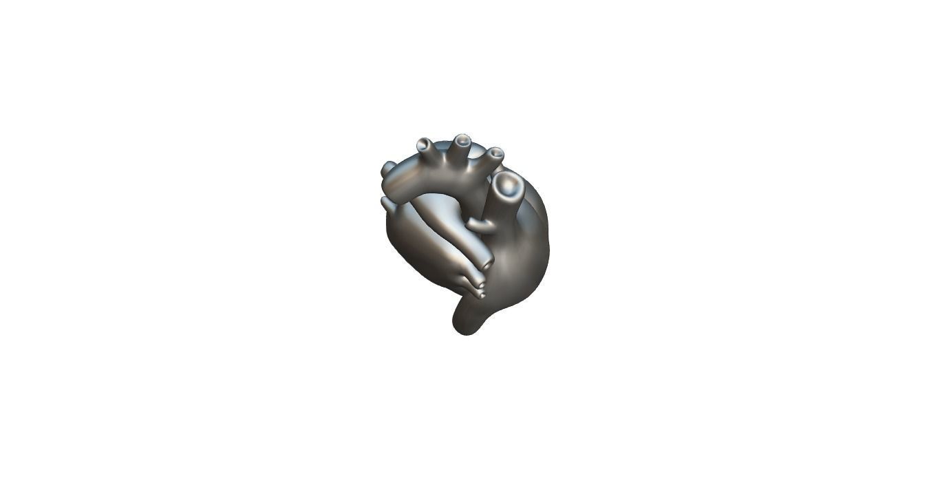 Heart 3D model_10
