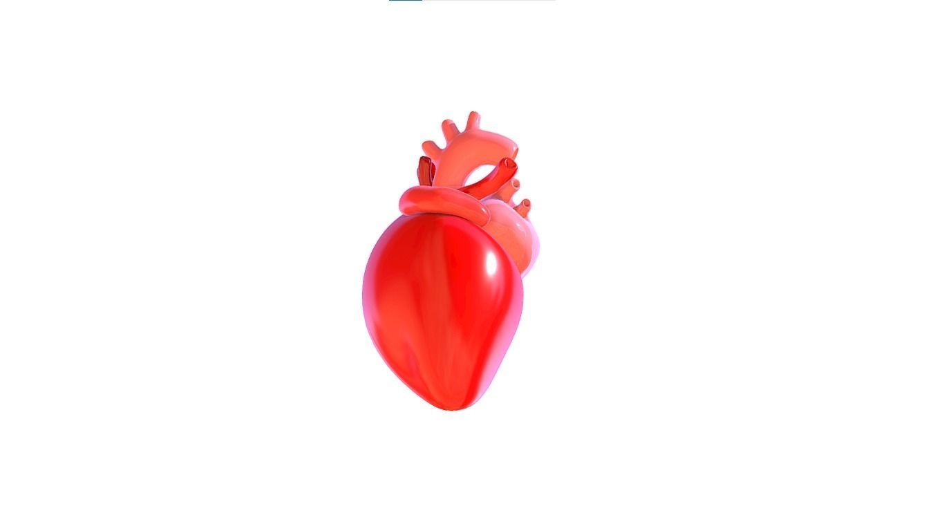 Heart 3D model_5