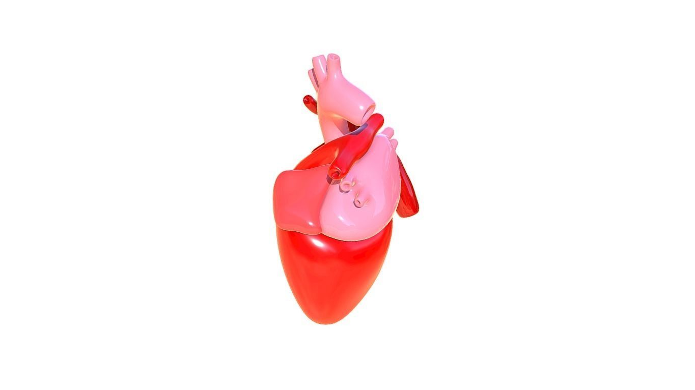 Heart 3D model_1