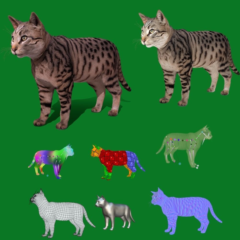 Silver Tabby Cat Low-poly 3D model_2