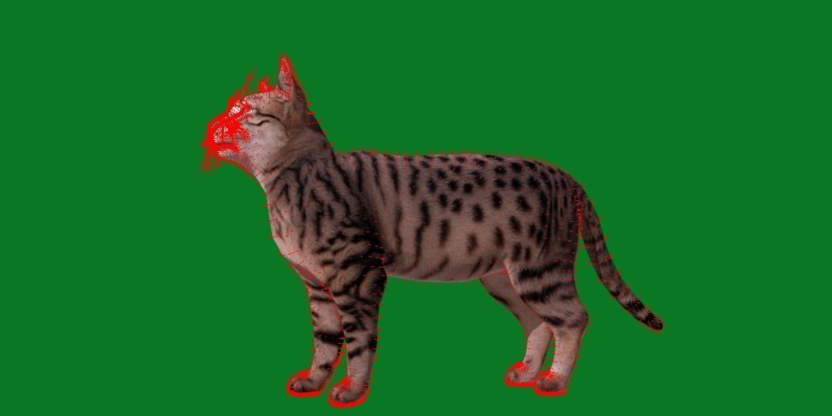 Silver Tabby Cat Low-poly 3D model_13