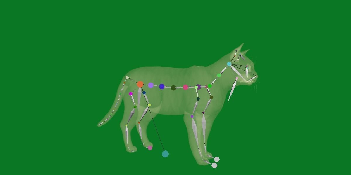 Silver Tabby Cat Low-poly 3D model_20