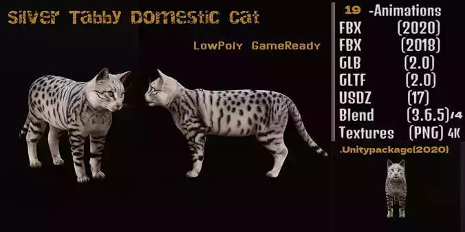 Silver Tabby Cat Low-poly 3D model