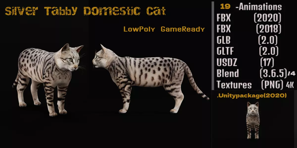 Silver Tabby Cat Low-poly 3D model_0