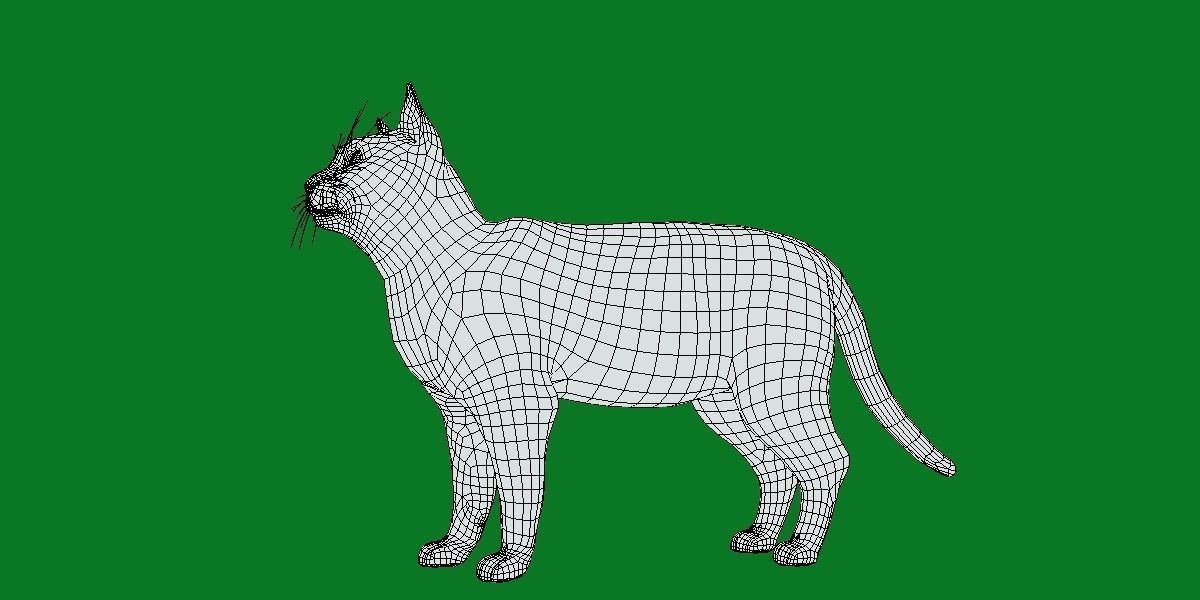 Silver Tabby Cat Low-poly 3D model_12