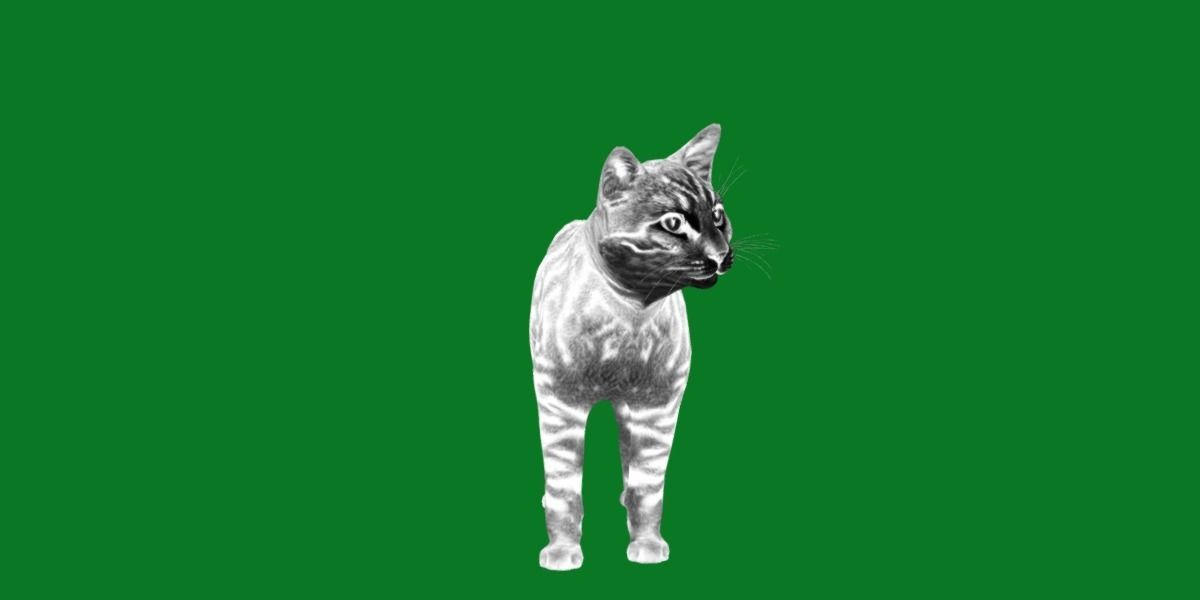 Silver Tabby Cat Low-poly 3D model_5