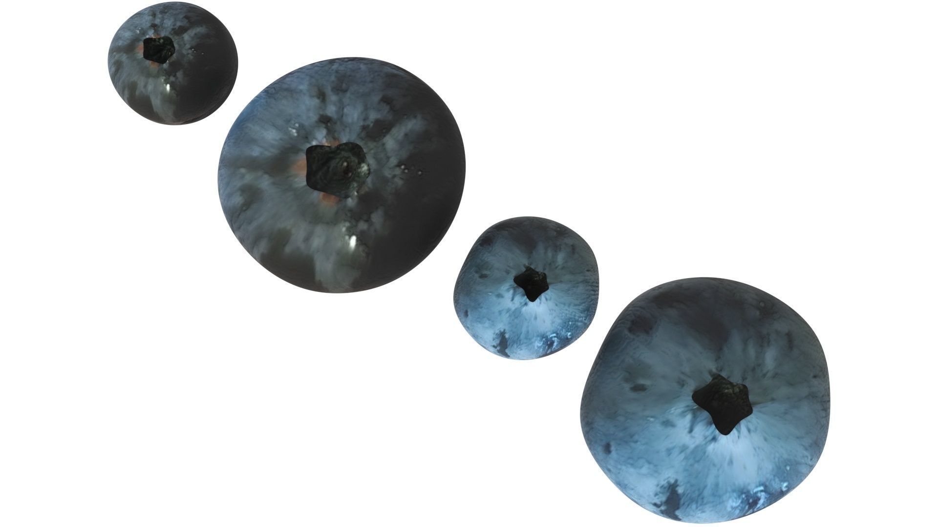Blueberries Set 3D model_11