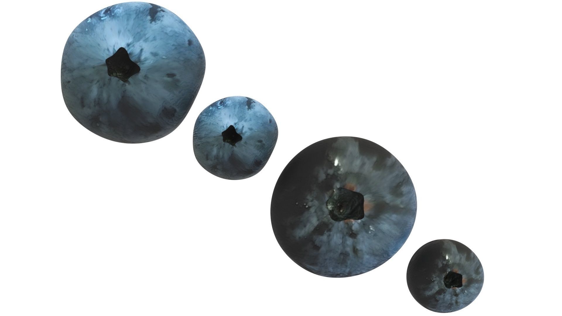 Blueberries Set 3D model_9
