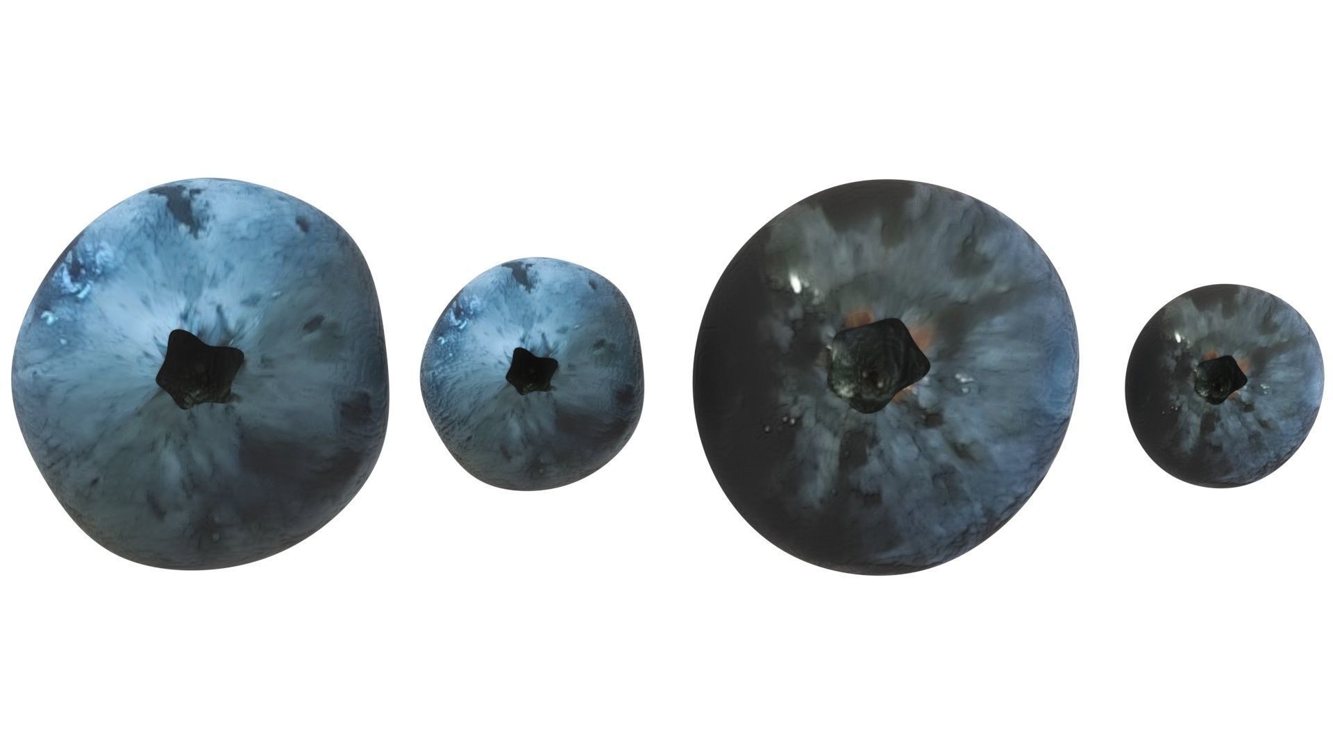 Blueberries Set 3D model_13