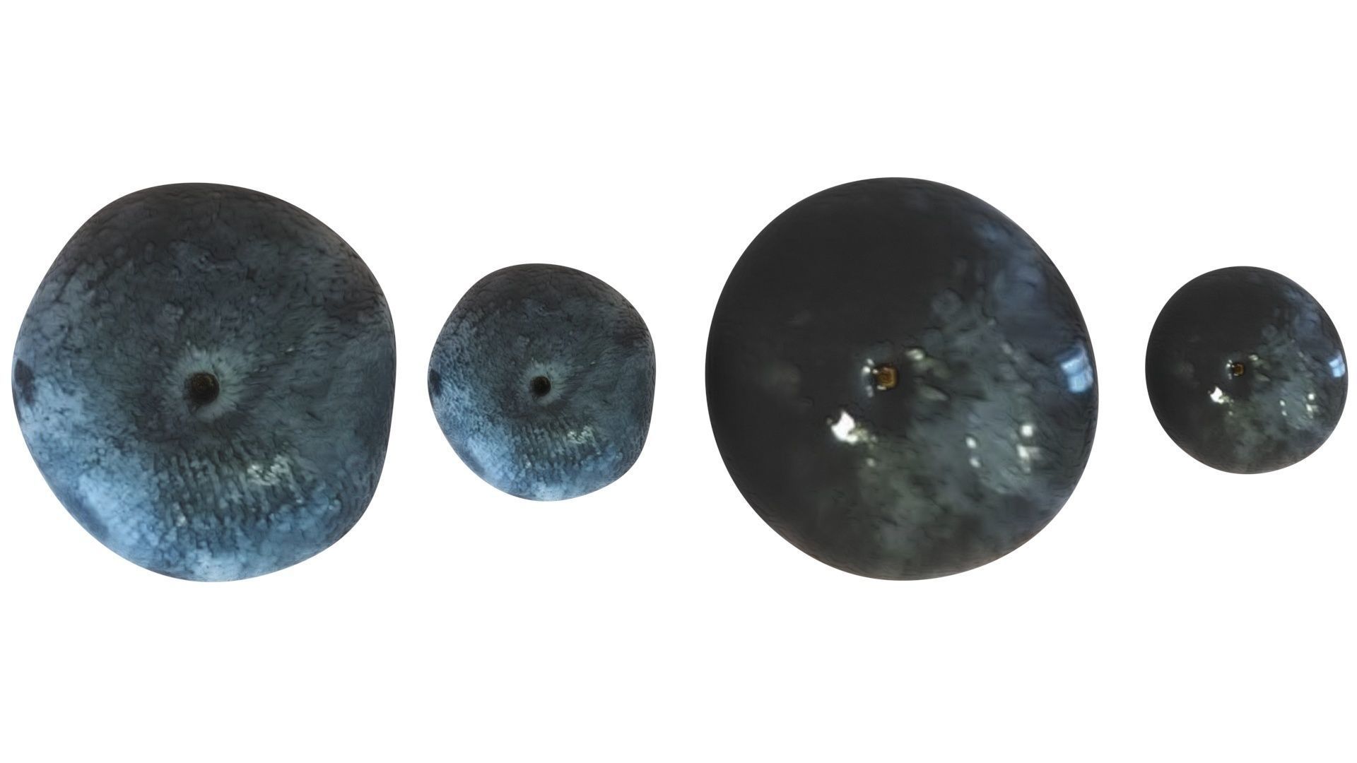 Blueberries Set 3D model_16