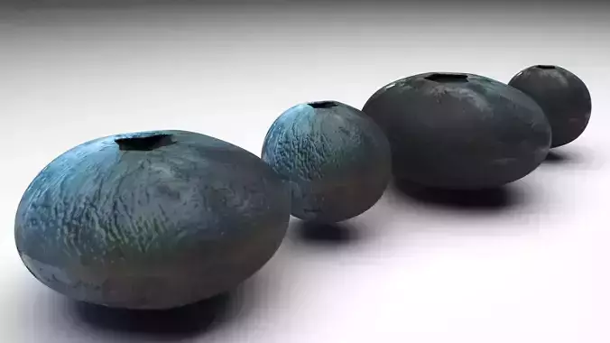 Blueberries Set 3D model