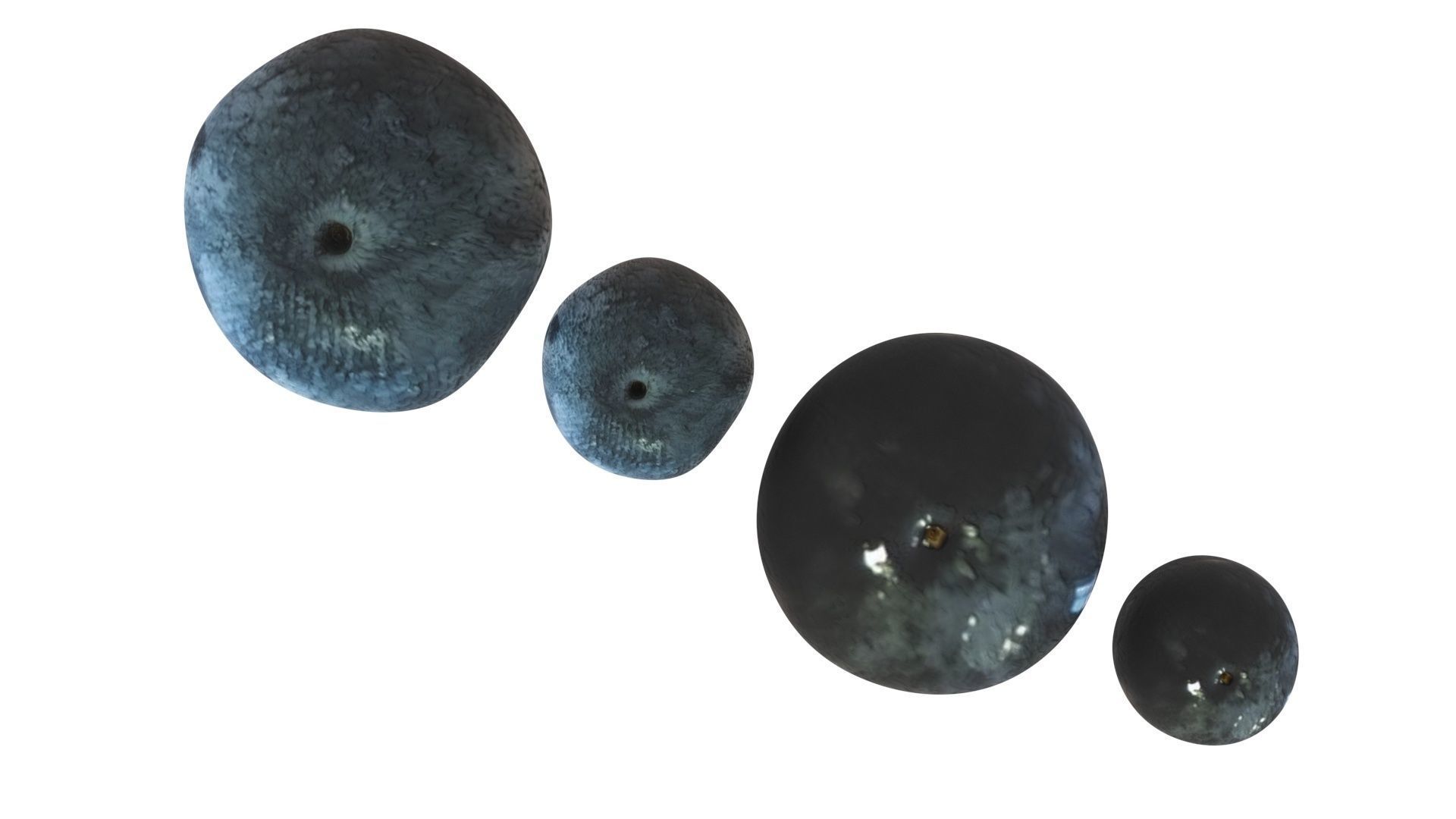 Blueberries Set 3D model_12