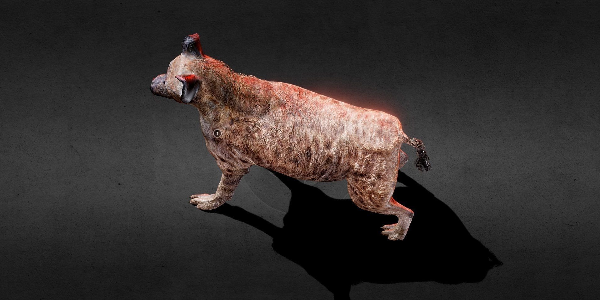 Hyena PBR Lowpoly Low-poly 3D model_4