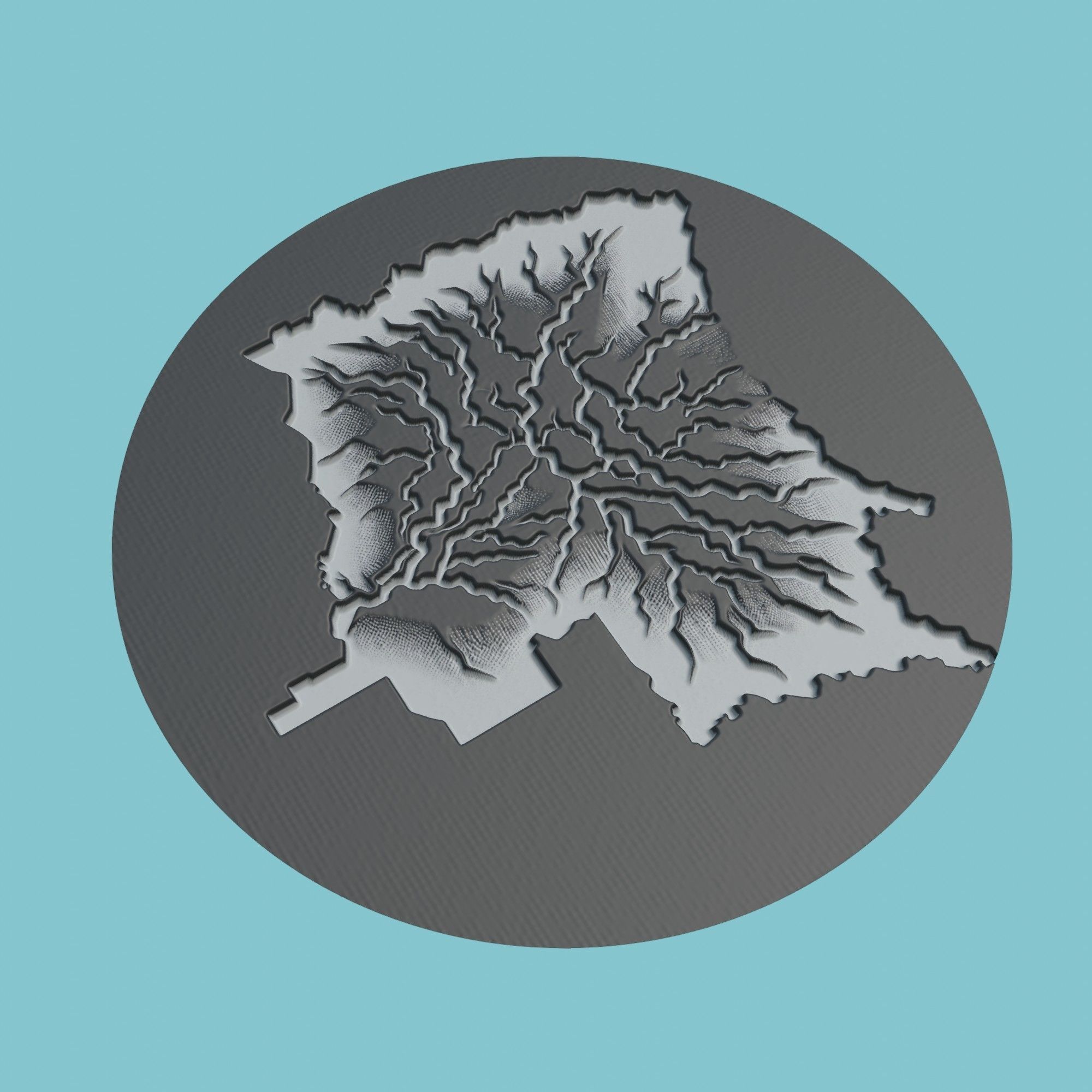 Congo Map Medallion 3D print model_1