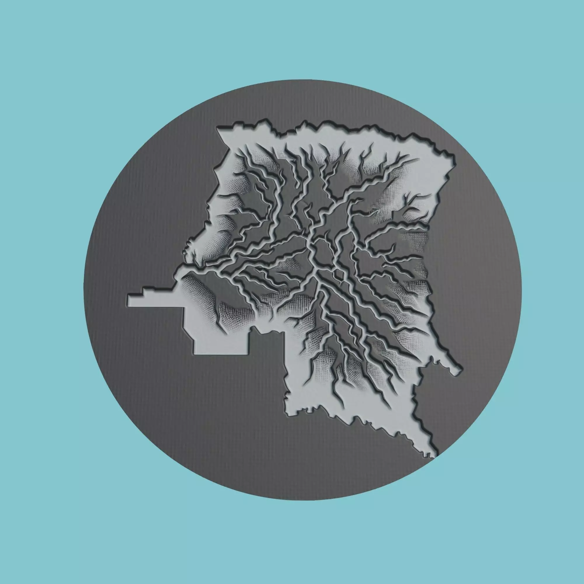 Congo Map Medallion 3D print model_0