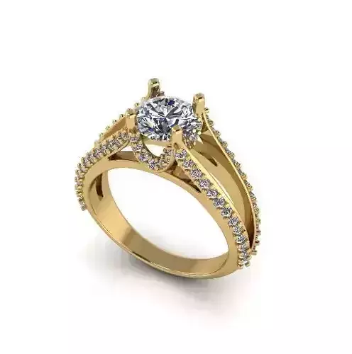 Ring Model 5861