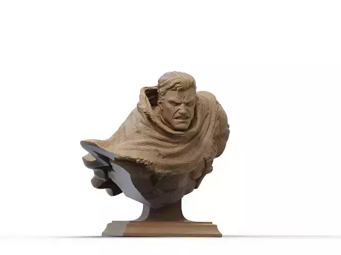 Cable Bust 3D Print 3D print model