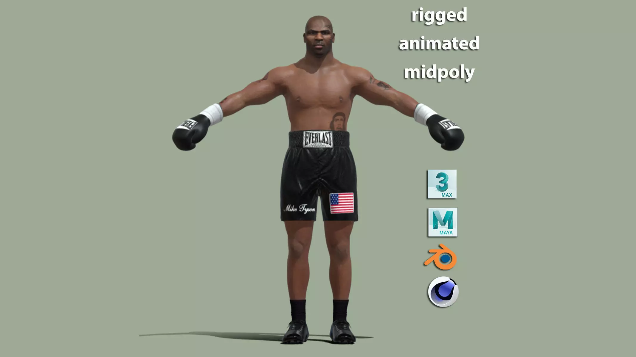 T-Pose Rigged Mike Tyson 3D model_0