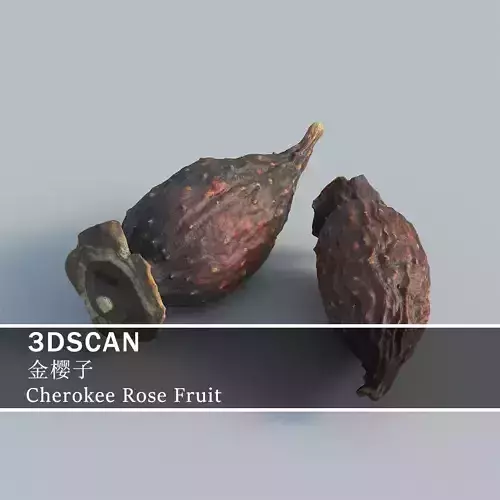 3DSCAN-Traditional Chinese Medicine-Cherokee Rose Fruit Low-poly 3D model