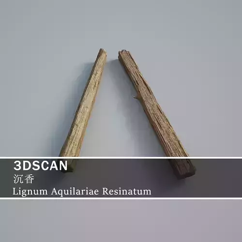 3DSCAN-Traditional Chinese Medicine-Lignum Aquilariae Resinatum Low-poly 3D model