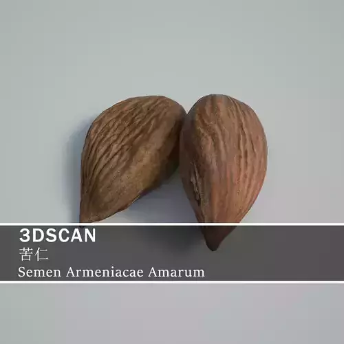 3DSCAN-Traditional Chinese Medicine-Semen Armeniacae Amarum Low-poly 3D model