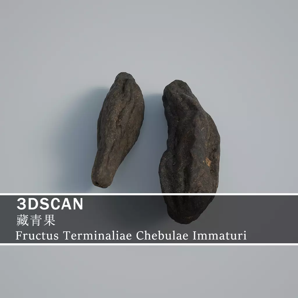 3DSCAN-Traditional Chinese Medicine-Fructus Terminaliae Chebulae Low-poly 3D model_0
