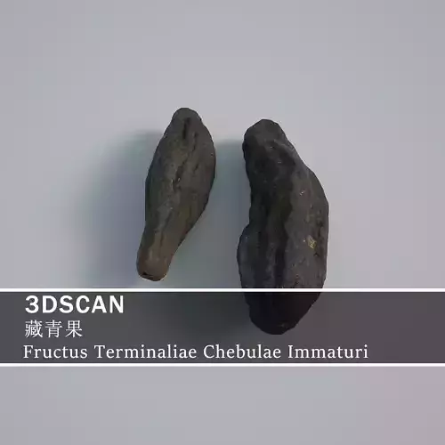 3DSCAN-Traditional Chinese Medicine-Fructus Terminaliae Chebulae Low-poly 3D model
