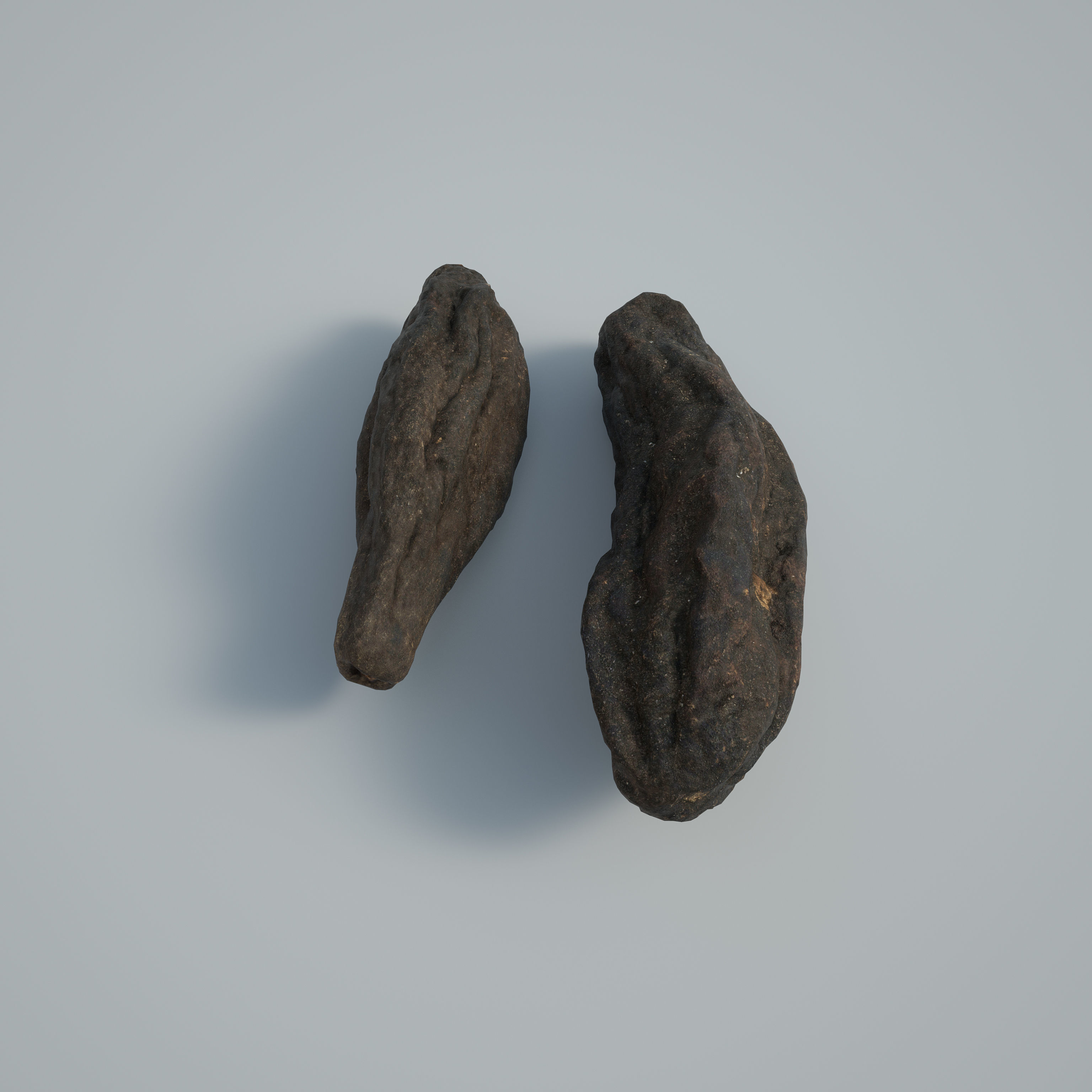 3DSCAN-Traditional Chinese Medicine-Fructus Terminaliae Chebulae Low-poly 3D model_1