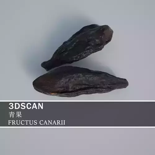 3DSCAN-Traditional Chinese Medicine-FRUCTUS CANARII Low-poly 3D model