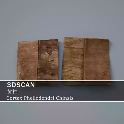 3DSCAN-Traditional Chinese Medicine-Cortex Phellodendri Chinsis Low-poly 3D model
