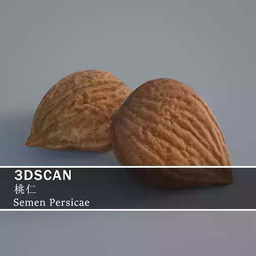 3DSCAN-Traditional Chinese Medicine-Semen Persicae