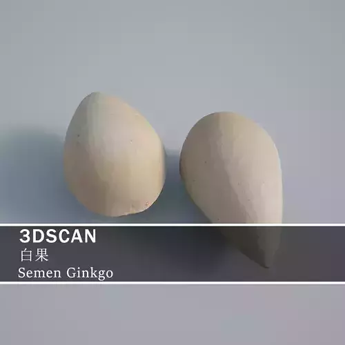 3DSCAN-Traditional Chinese Medicine-Semen Ginkgo Low-poly 3D model