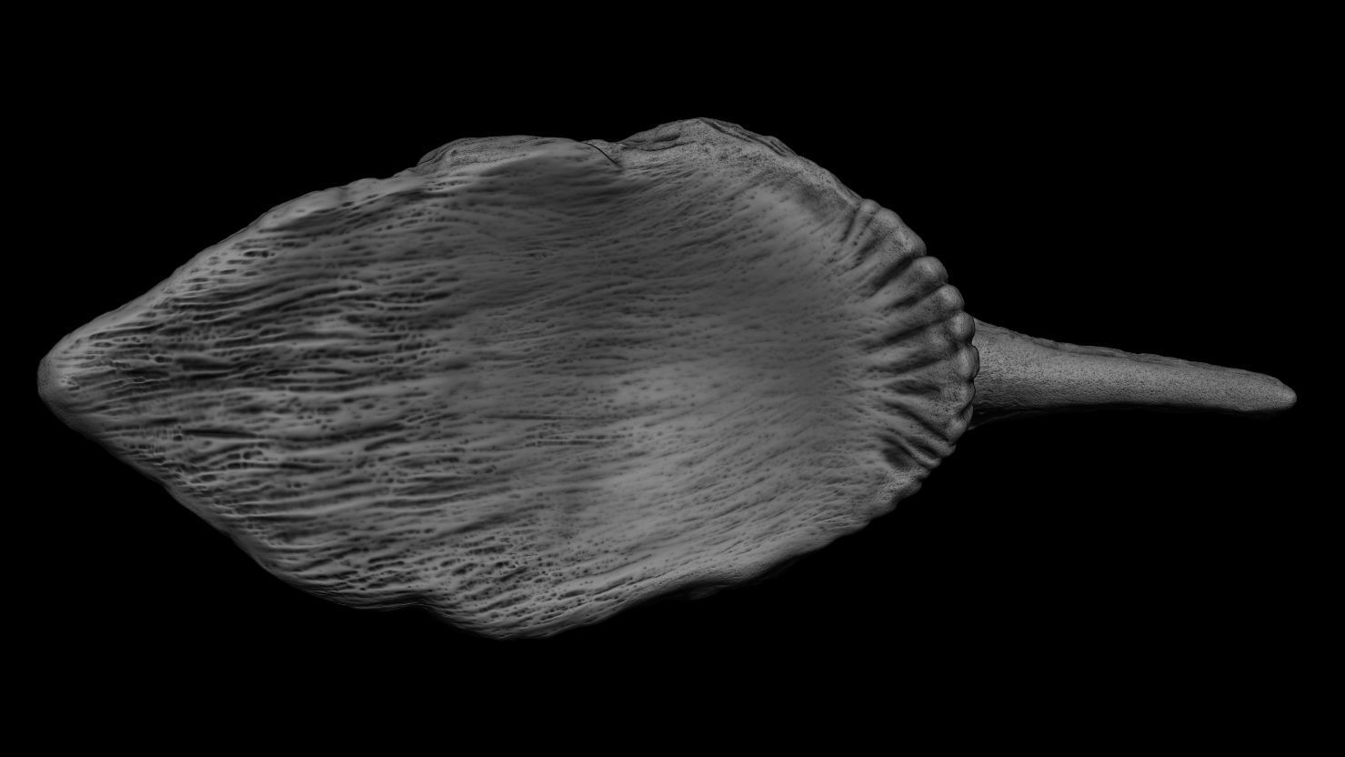 3D PRINTABLE RUSTIC GOBLIN HEADDRESS HELMET 3D print model_6