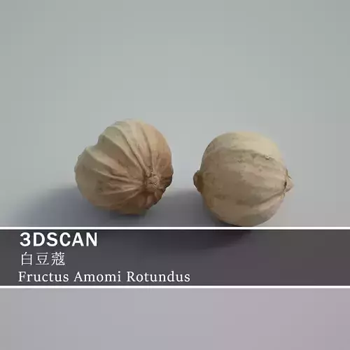 3DSCAN-Traditional Chinese Medicine-Fructus Amomi Rotundus Low-poly 3D model