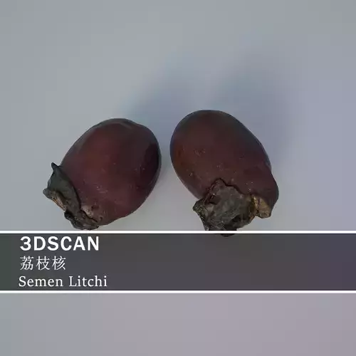3DSCAN-Traditional Chinese Medicine-Semen Litchi Low-poly 3D model