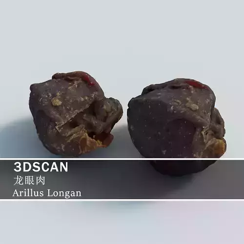 3DSCAN-Traditional Chinese Medicine-Arillus Longan Low-poly 3D model