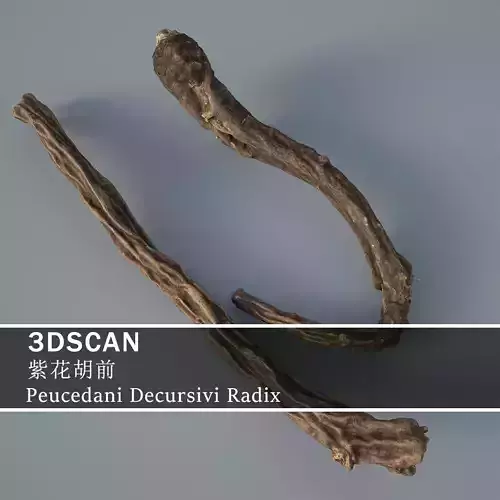 3DSCAN-Traditional Chinese Medicine-Peucedani Decursivi Radix Low-poly 3D model