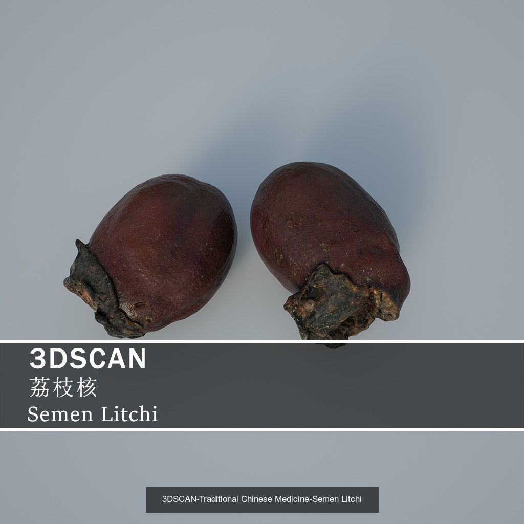 3DSCAN-Traditional Chinese Medicine 3D Model Collection 03 _19