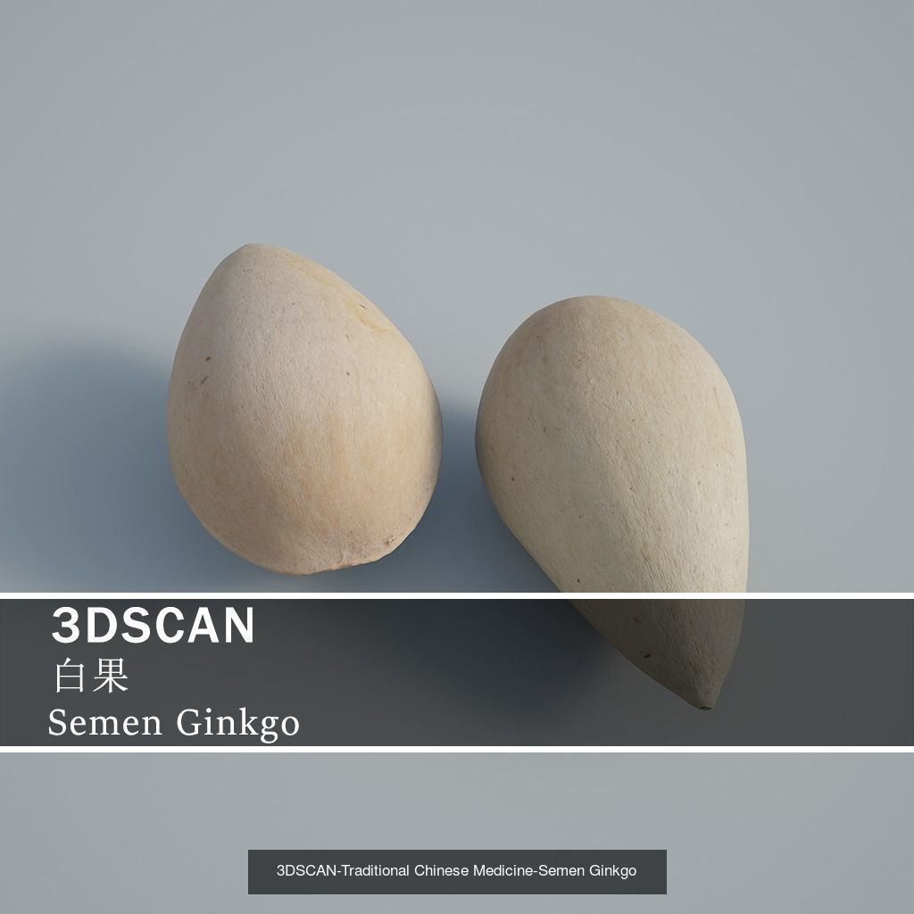 3DSCAN-Traditional Chinese Medicine 3D Model Collection 03 _17