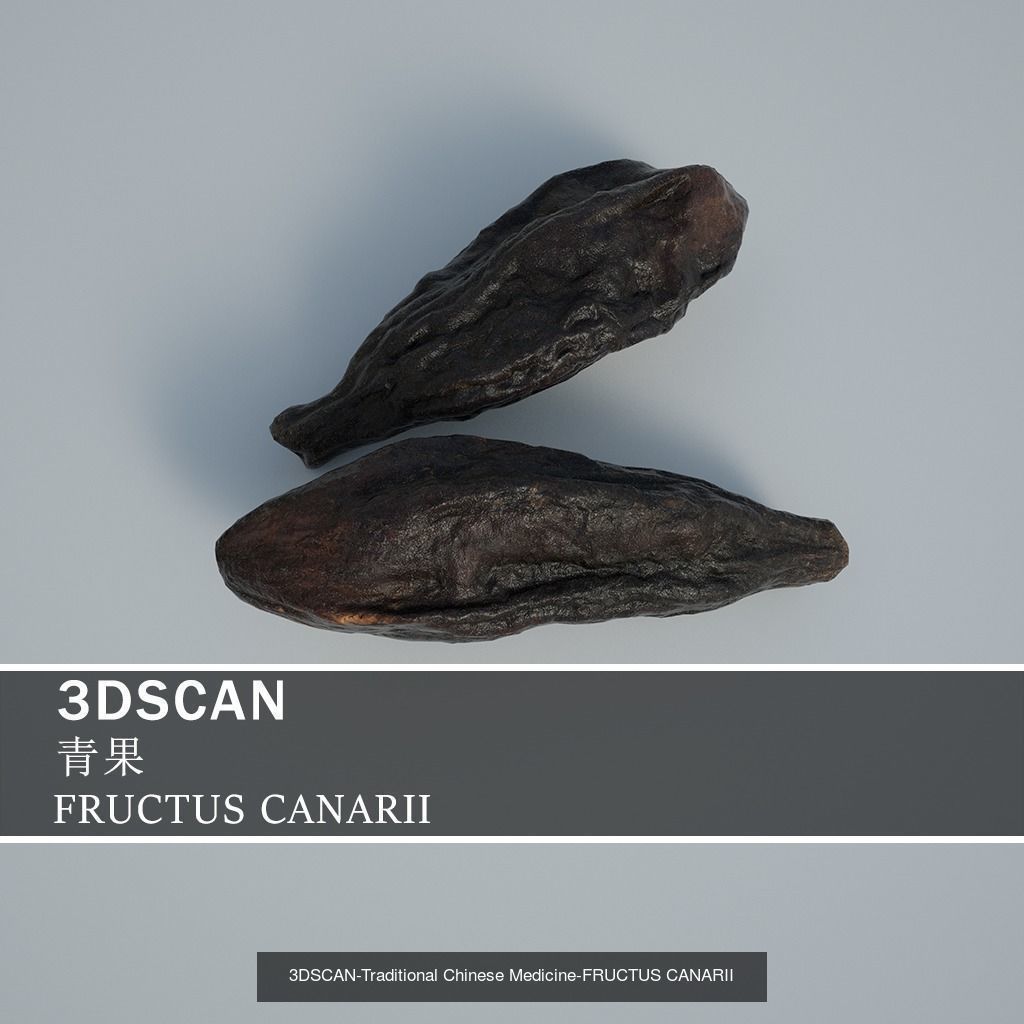 3DSCAN-Traditional Chinese Medicine 3D Model Collection 03 _13