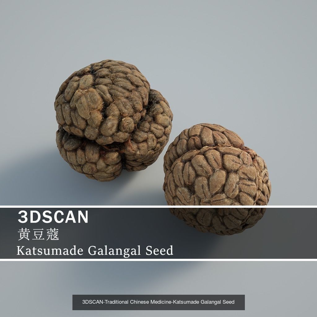 3DSCAN-Traditional Chinese Medicine 3D Model Collection 03 _8
