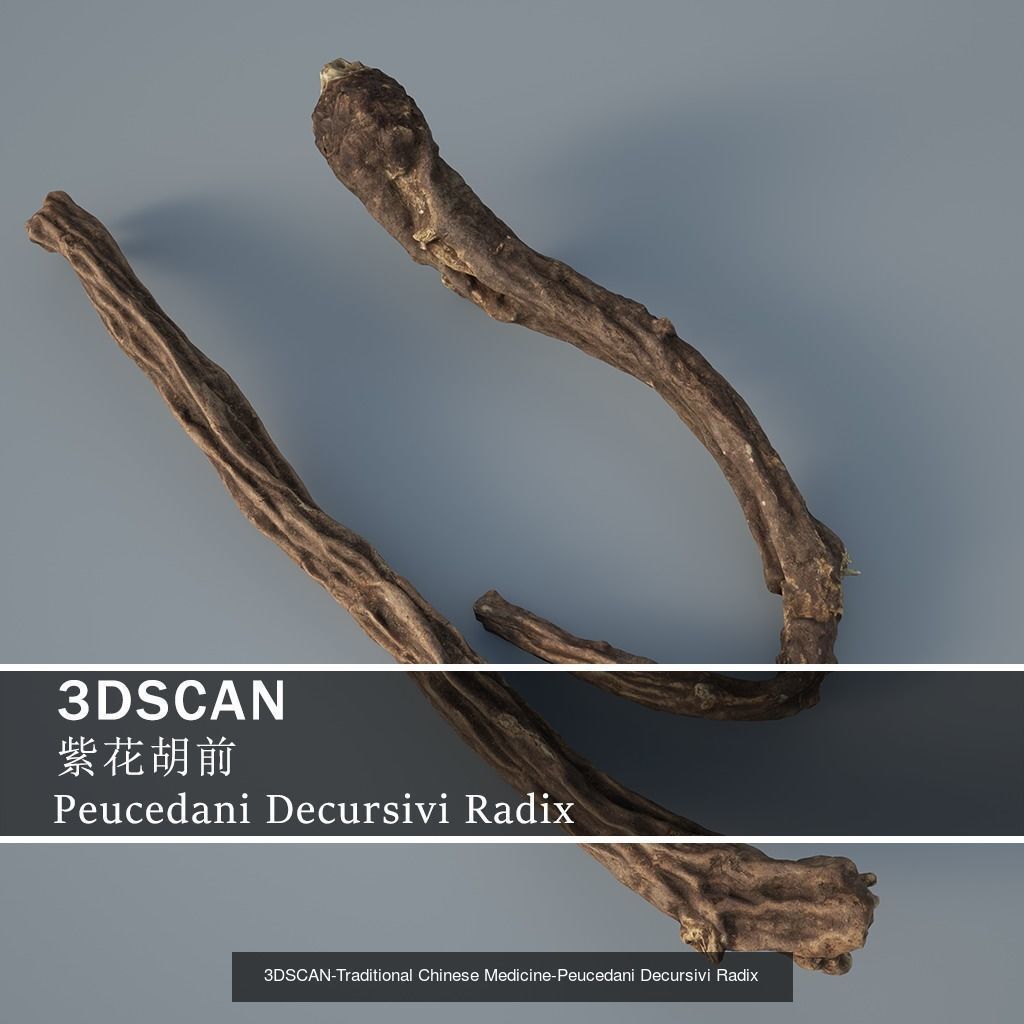 3DSCAN-Traditional Chinese Medicine 3D Model Collection 03 _24
