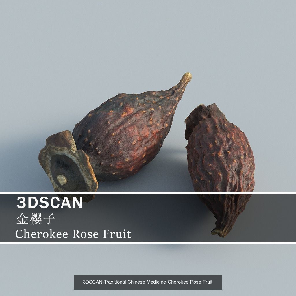 3DSCAN-Traditional Chinese Medicine 3D Model Collection 03 _7